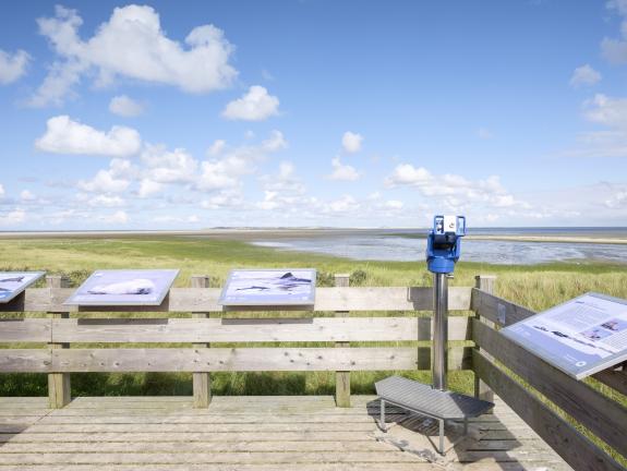 Die Aussichtsplattform Osterhook