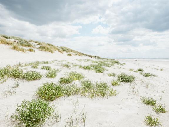 Strand am Naturpfad Flinthörn im Südwesten Langeoogs