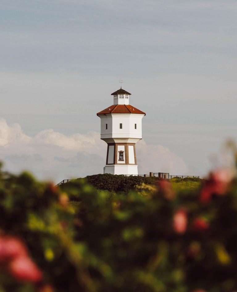 Wasserturm hinter Rosenbusch