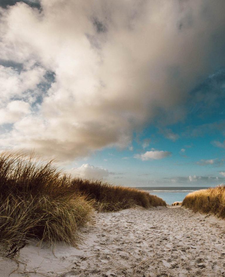 Blick vom Strandübergang aufs Meer