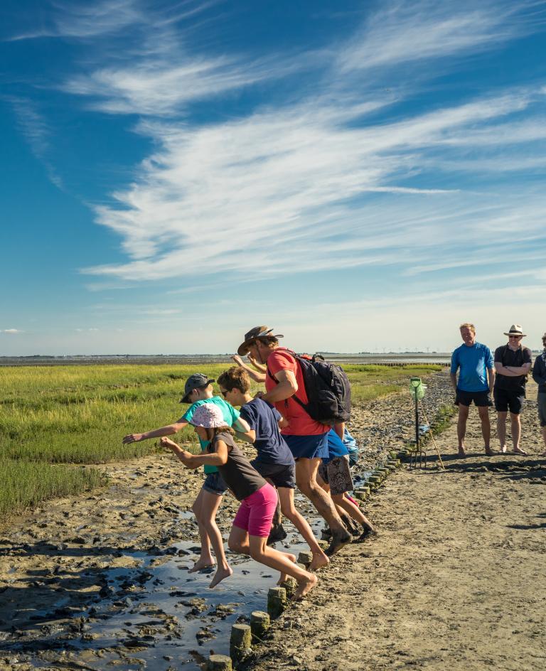 Eine Wattwanderung sollte jeder Urlauber mindestens einmal mitgemacht haben