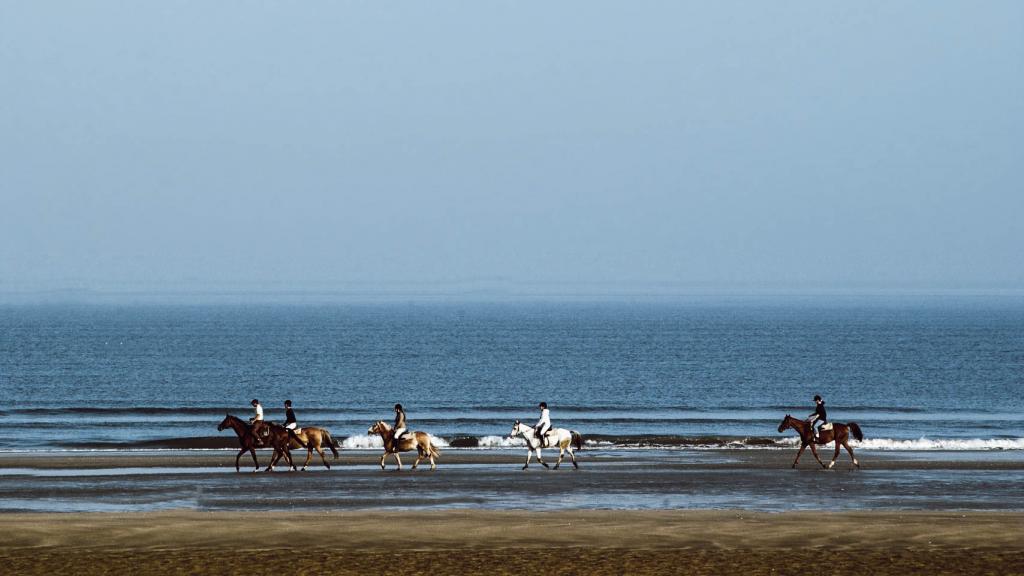 Standausritt auf Langeoog: Reiter an der Wasserkante