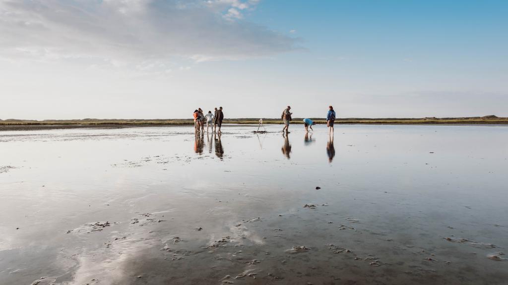 Familie bei Wattwanderung