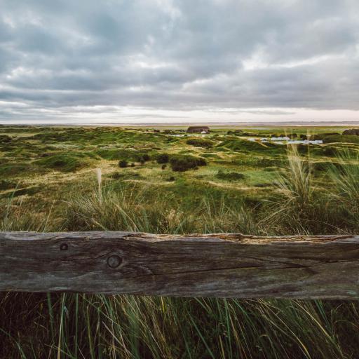 Blick von der Melkhörndüne Richtung Osten