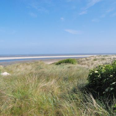 Blick nach Osten: Wilde Dünenlandschaften und weiter Sandstrand