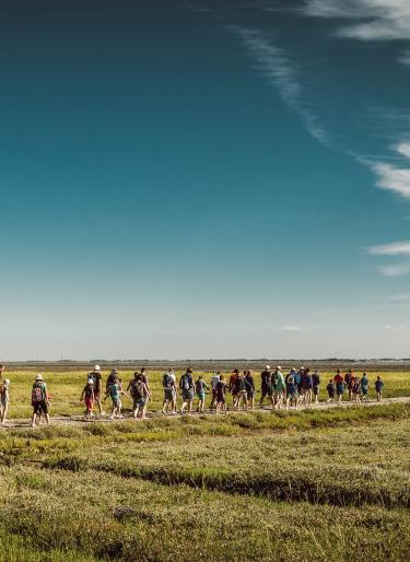 Eine Reisegruppe unterwegs in der Natur